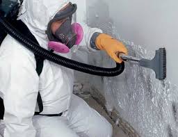 Best Residential Mold Inspection & Testing  in Fussels Corner, FL